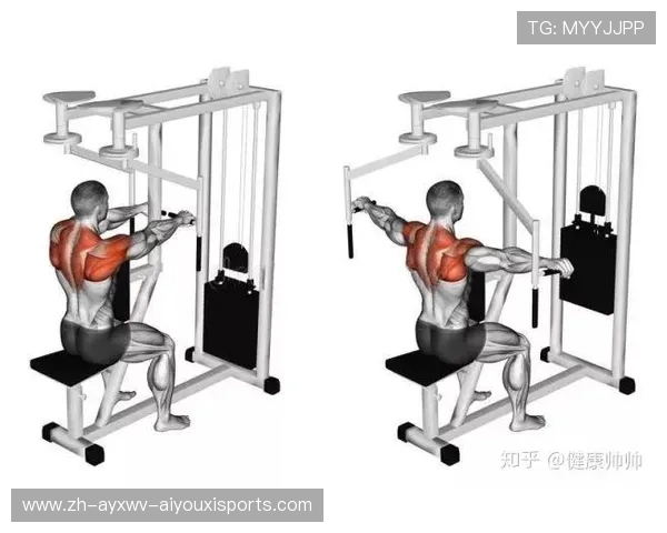 综合型健身器材完整使用教程